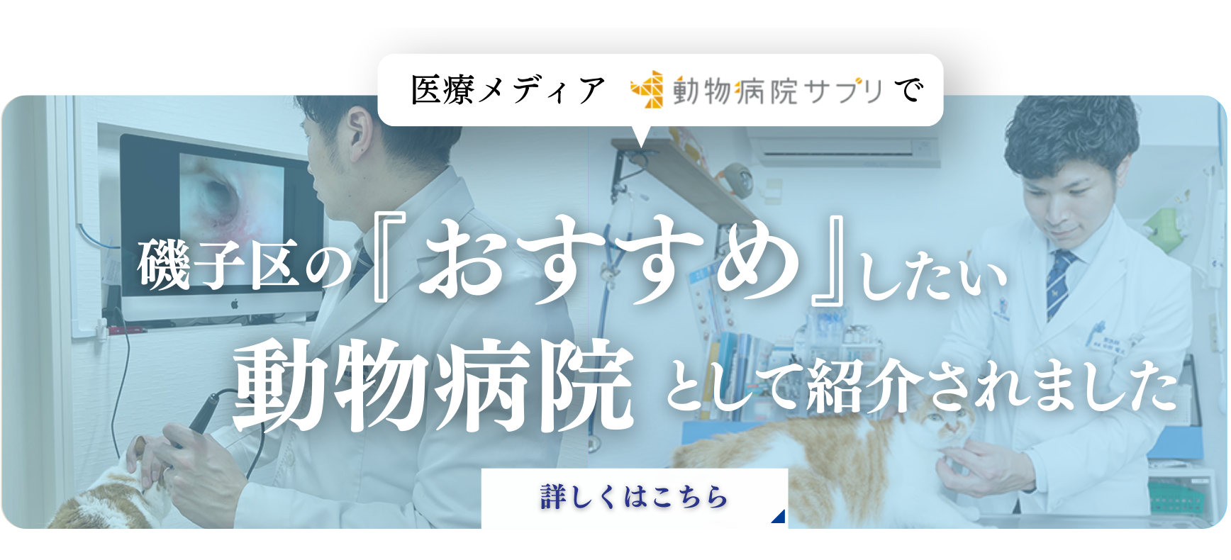 磯子区のおすすめしたい動物病院として紹介されました