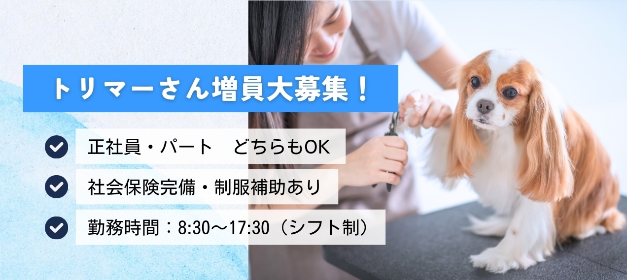 トリマーさん大募集！